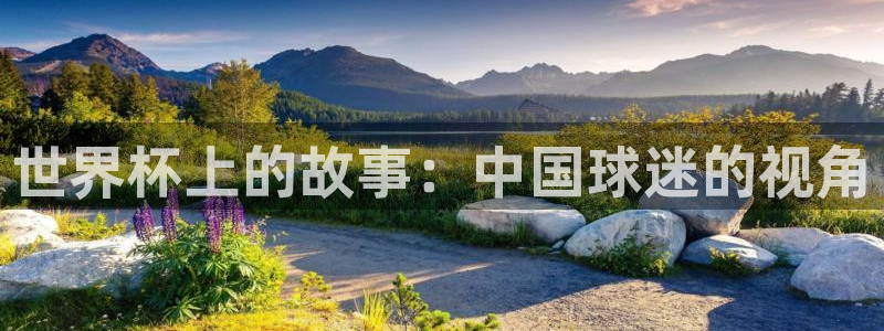 世界杯今年:世界杯上的故事:中国球迷的视角