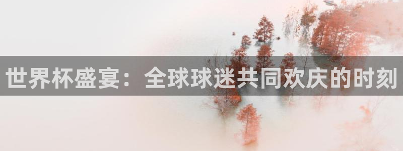 世预赛直播:世界杯盛宴:全球球迷共同欢庆的时刻