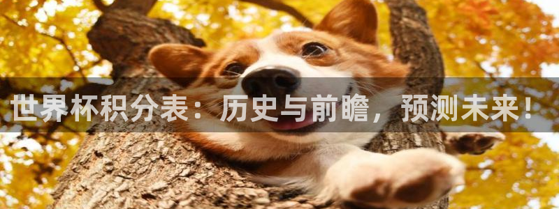 世界杯预选赛:世界杯积分表:历史与前瞻,预测未来!
