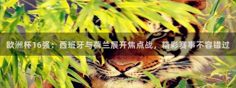 欧洲世界杯预选赛:欧洲杯16强:西班牙与荷兰展开焦点战,精彩赛事不容错过