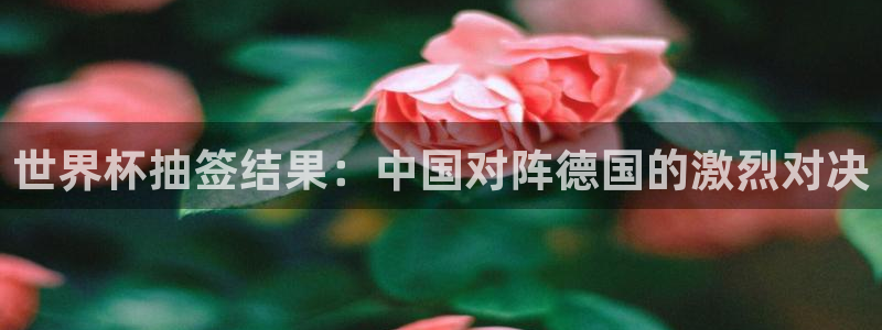 2026世界杯欧洲预选赛赛程表:世界杯抽签结果:中国对阵德国的激烈对决