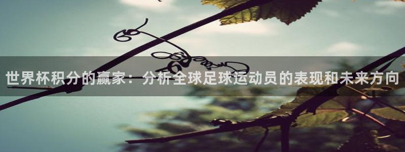 世界杯预选赛:世界杯积分的赢家:分析全球足球运动员的表现和未来方向